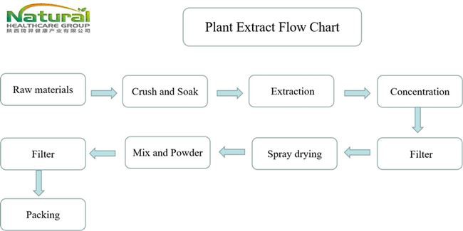 flow chart