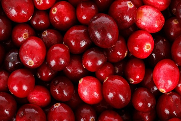 Cranberries Function Cranberries Function