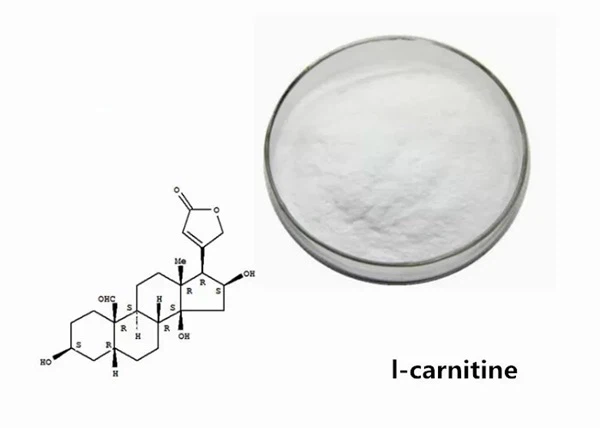 Is L-Carnitine safe Is L-Carnitine safe