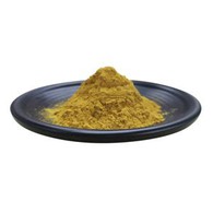 Ginkgo Biloba Leaf Extract Duft