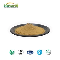 Monk Fruit Extract Duft