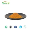 Curcumin 99 prósent