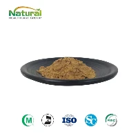 Ginkgo Biloba útdráttarduft