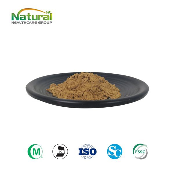 Ginkgo Biloba laufduft